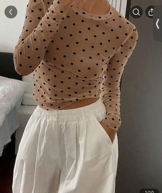 Mesh dark